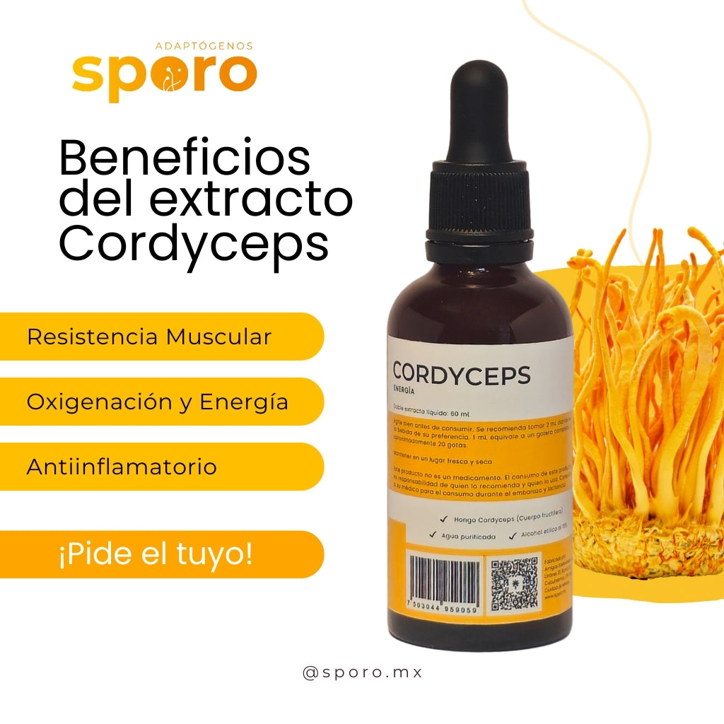 Kit 5 Extractos Líquidos Hongos Adaptógenos Sporo - Reishi, Melena De León, Cordyceps, Cola De Pavo Y Shiitake
