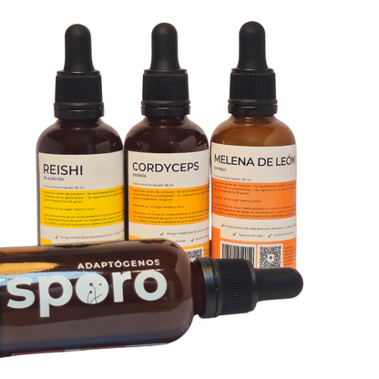 Kit de Hongos Funcionales: Equilibrio, Energía y Claridad