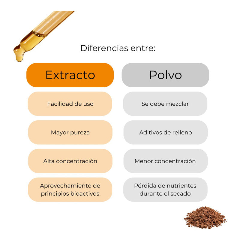 Kit Hongos Funcionales Equilibrio, Energía Y Claridad Sporo