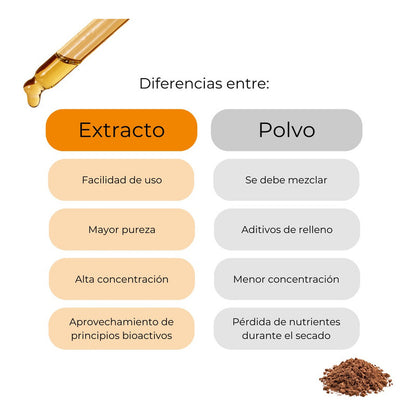 Kit Hongos Funcionales Equilibrio, Energía Y Claridad Sporo