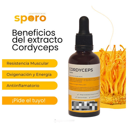 Kit Supremo 5 Extractos Líquidos De Hongos Sporo 5 Unid.