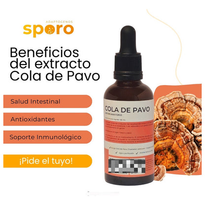 Kit Supremo 5 Extractos Líquidos De Hongos Sporo 5 Unid.