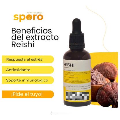 Kit Supremo 5 Extractos Líquidos De Hongos Sporo 5 Unid.