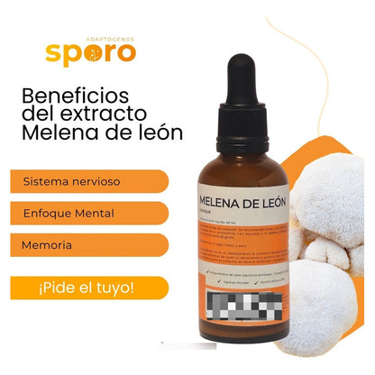 Kit Hongos Funcionales Equilibrio, Energía Y Claridad Sporo